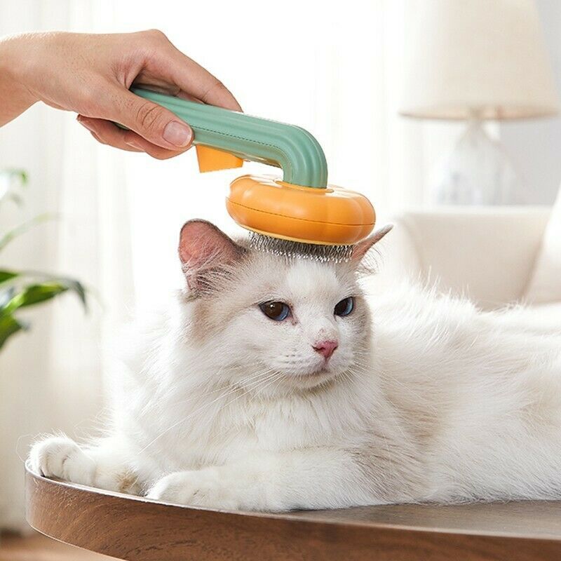 Self-Cleaning Slicker Pet Pumpkin Brush