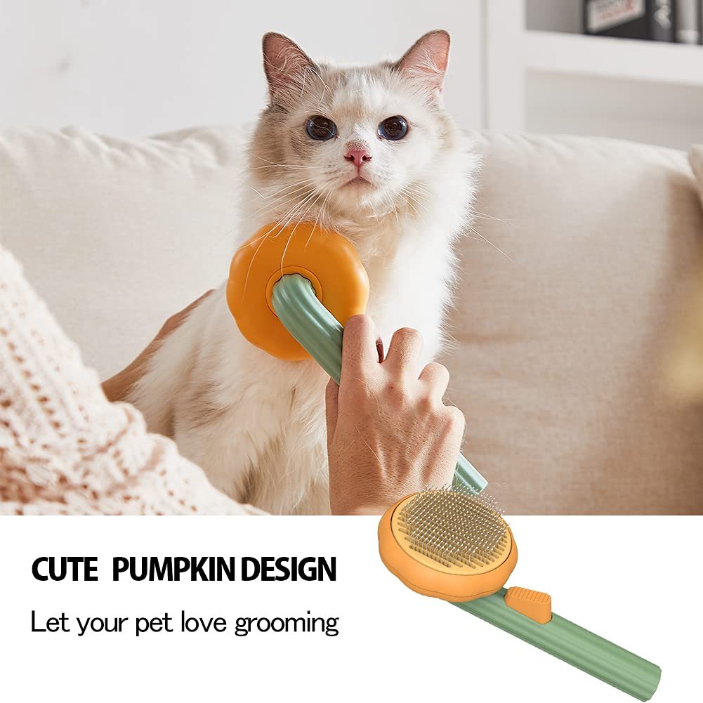 Self-Cleaning Slicker Pet Pumpkin Brush