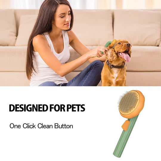 Self-Cleaning Slicker Pet Pumpkin Brush