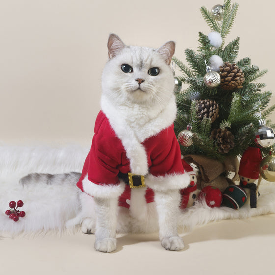 Winter New Christmas Cat Clothes