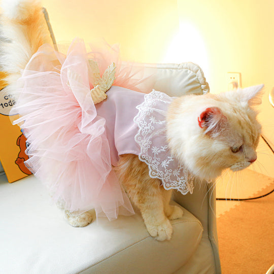 Cat Clothes Lace Cat