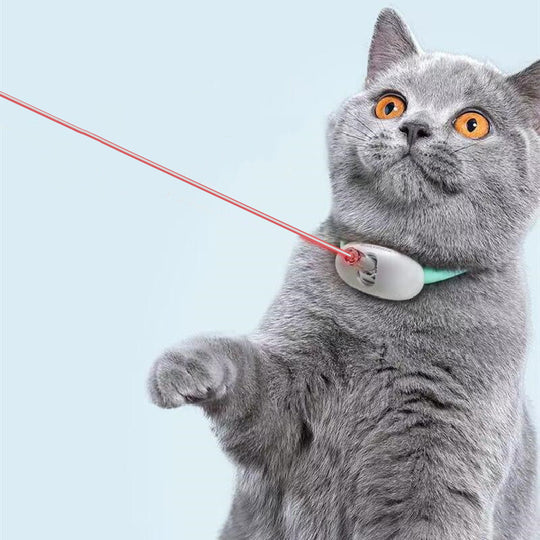 Automatic Smart Laser Teasing Cat Collar