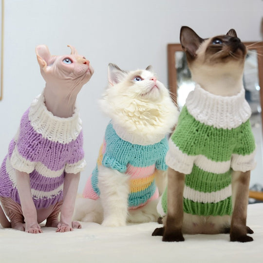 Hairless Cat Warm Sweater